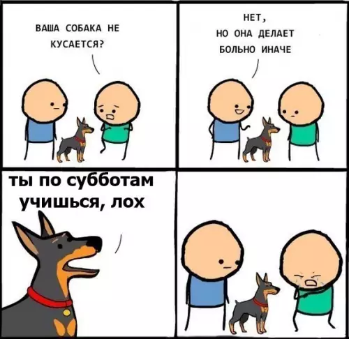 Смешная картинка №214183