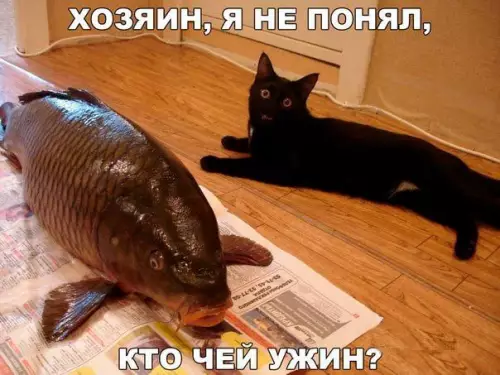 Смешная картинка №446099