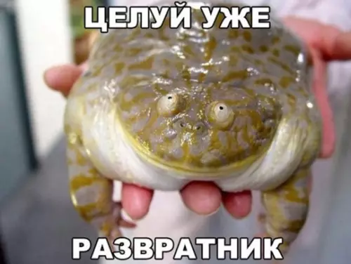 Смешная картинка №766033