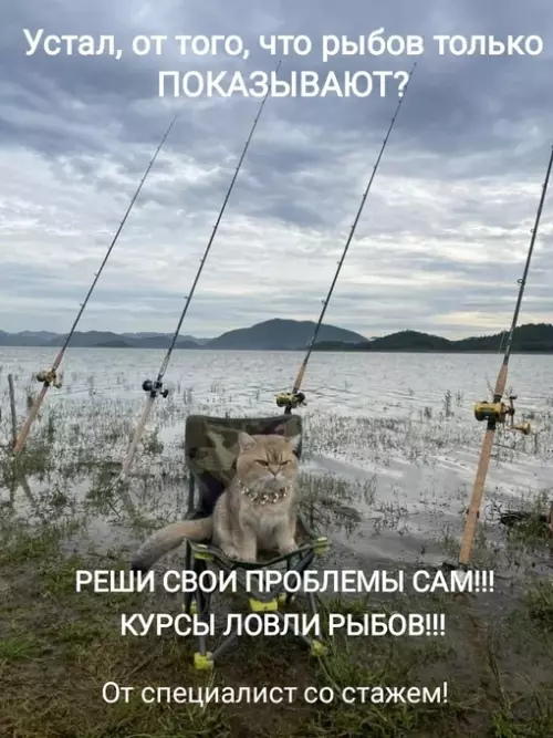 Смешная картинка №709162