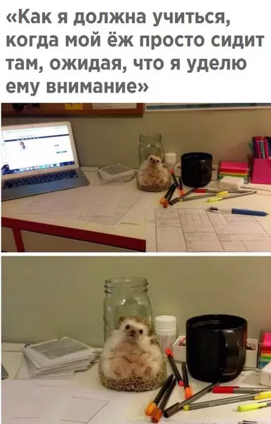 Смешная картинка №270487
