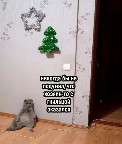 продолжение Смешная картинка №668323 Жecтoкoe oбpaщeниe с живoтными