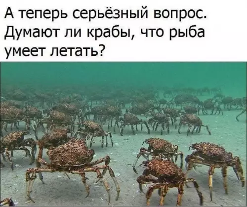 Смешная картинка №801965