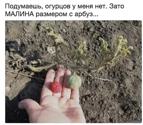 Смешная картинка №291535