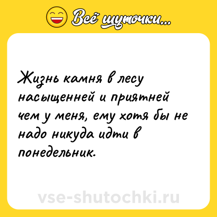 Шутка: Жизнь камня в лесу насыщенней и приятней чем у меня, ему хотя бы не надо никуда идти в понедельник.