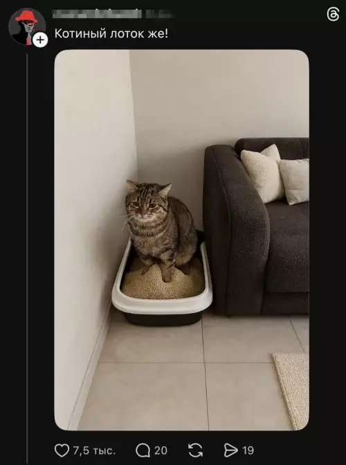 продолжение Смешная картинка №799010 Более удачных вариантов дизайна интерьера и не придумать