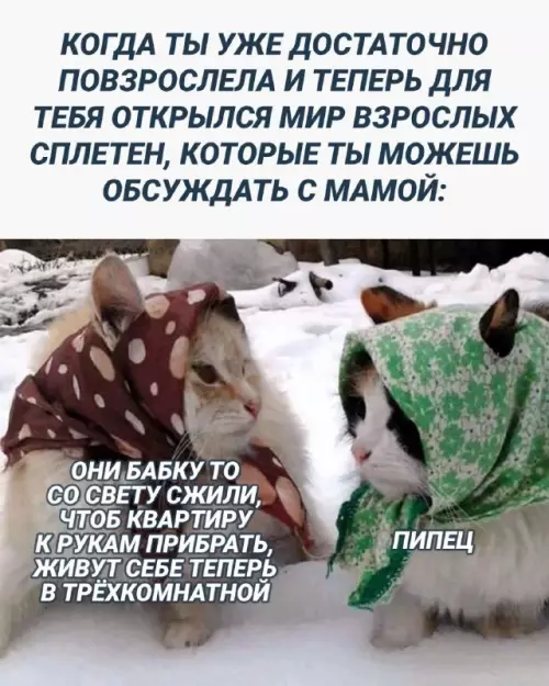 Смешная картинка №672808
