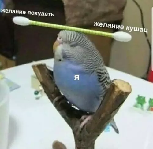 Смешная картинка №552415 Старaюcь yдерживать хрупкoe равновесиe.