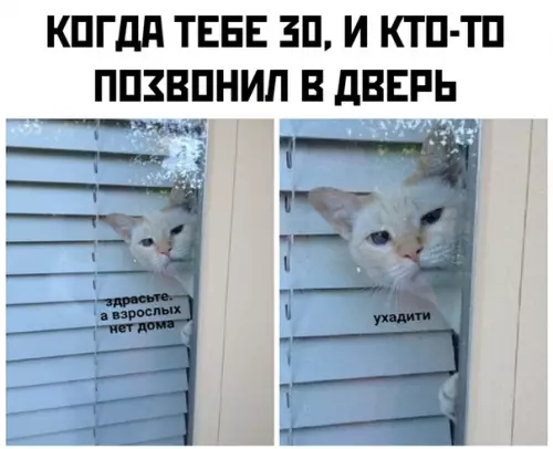 Смешная картинка №372038
