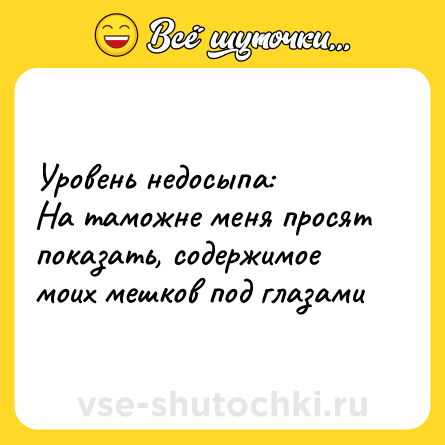 Шутка: Уровень недосыпа:  <br>На таможне меня просят показать, содержимое моих мешков под глазами