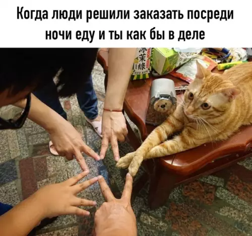Смешная картинка №523721
