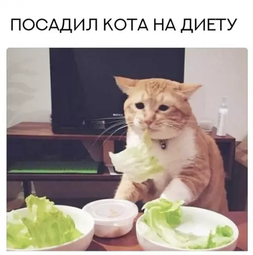 Смешная картинка №248847