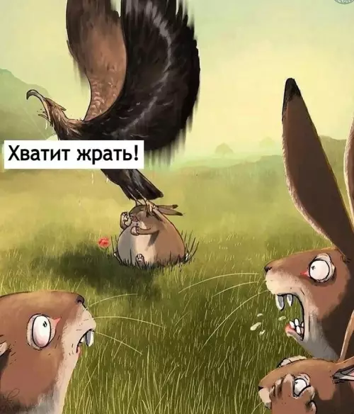продолжение Смешная картинка №657667