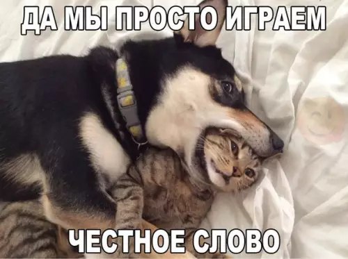 Смешная картинка №185394