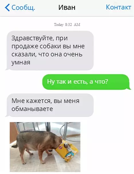 Смешная картинка №283848