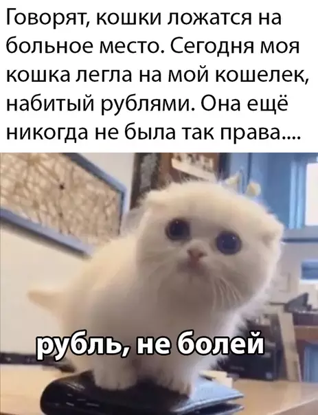 Смешная картинка №474240