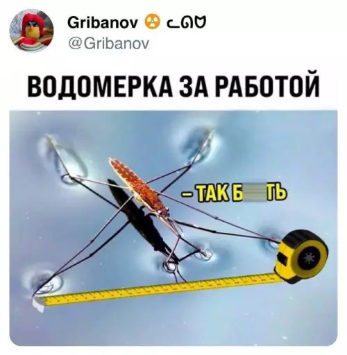 Смешная картинка №717556