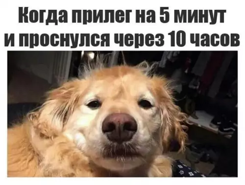 Смешная картинка №281376