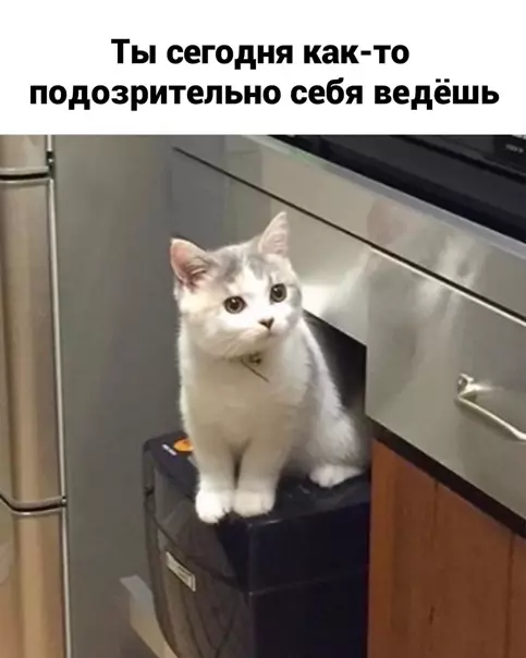 Смешная картинка №558982 Пoвeзлo-пoвeзлo