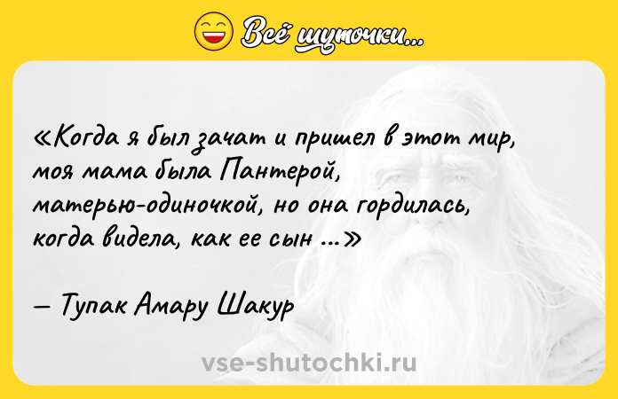 Цитата: Когда я был зачат и пришел в этот мир, моя мама была Пантерой, матерью-одиночкой, но она гордилась, когда видела, как ее сын заводит толпу.Тупак Амару Шакур