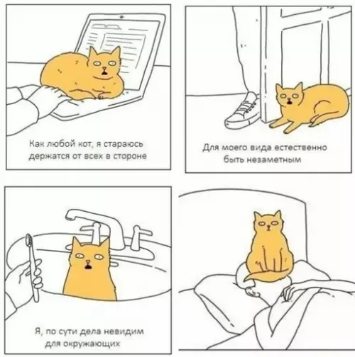 Смешная картинка №670615 Коты