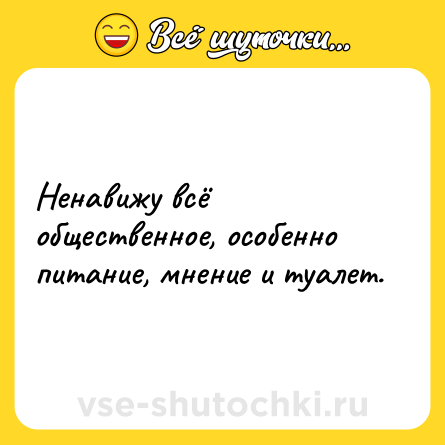 Шутка: Ненавижу всё общественное, особенно питание, мнение и туалет.