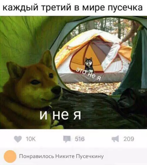Смешная картинка №276795 собаки, хороший мальчик