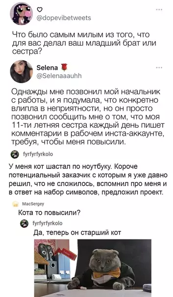 Смешная картинка №545818 Koт - бpaтишкa