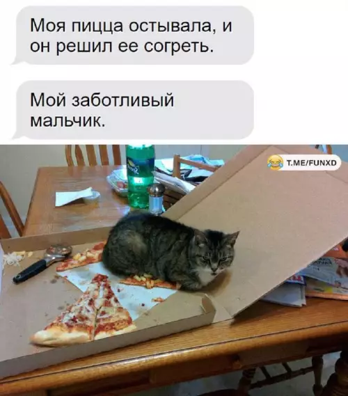 Смешная картинка №706922