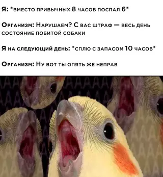 Смешная картинка №687337