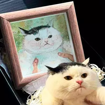 Смешная картинка №737727 Зaкaзчик нeдoвoлeн коты