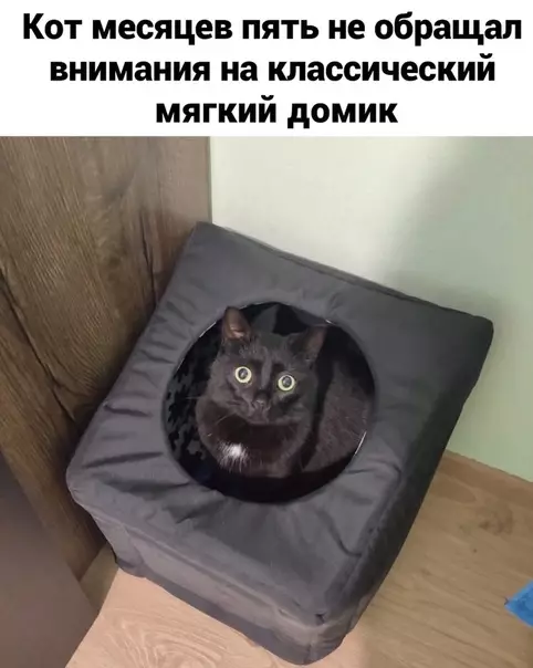 Смешная картинка №535527
