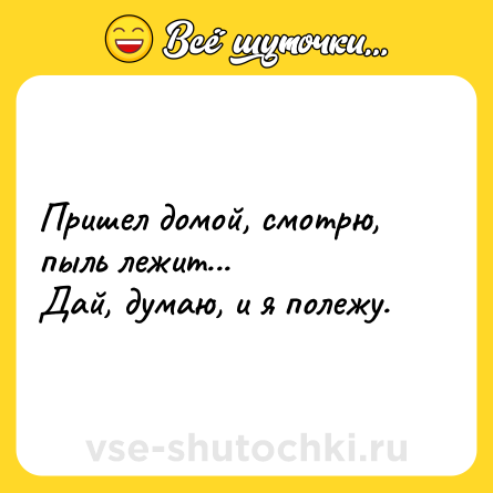 Шутка: Пришел домой, смотрю, пыль лежит...<br>Дай, думаю, и я полежу.