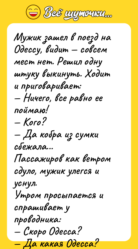 Мужик зашел в поезд на Одессу, видит совсем мест