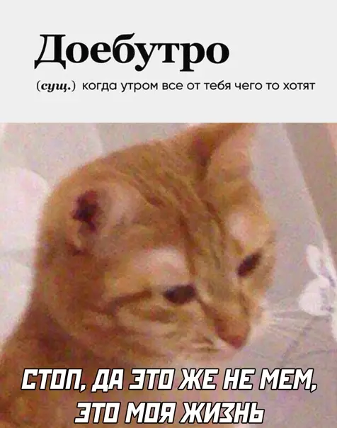 Смешная картинка №561867