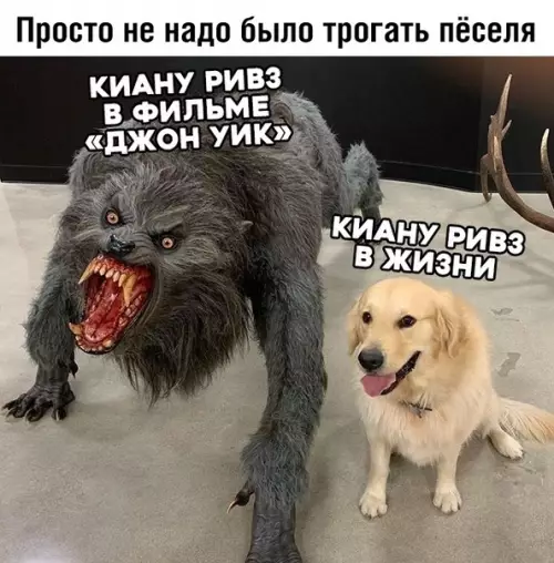 Смешная картинка №357592