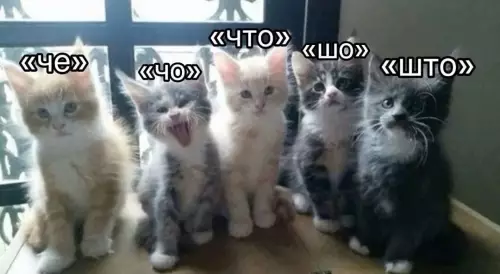 Смешная картинка №735030