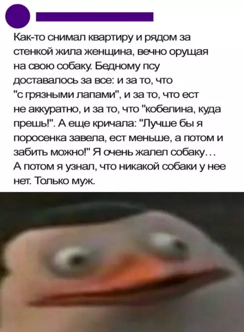 Смешная картинка №724354