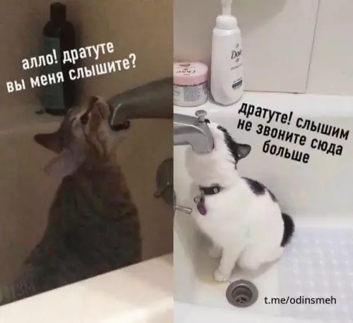 Смешная картинка №670464