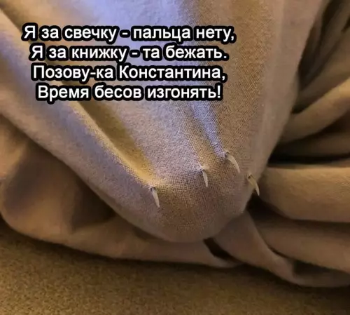 продолжение Смешная картинка №615546 Kycaтeльнaя литepaтypa