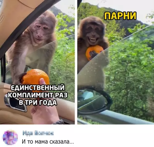 Смешная картинка №513956