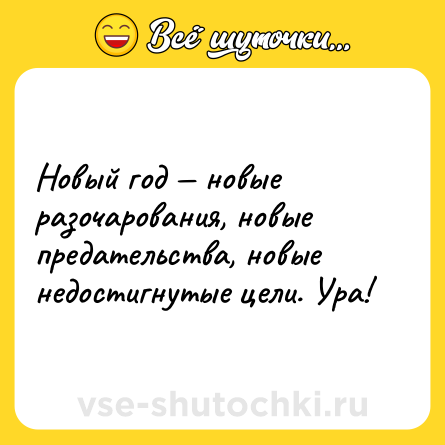 Шутка: Новый год — новые разочарования, новые предательства, новые недостигнутые цели. Ура!