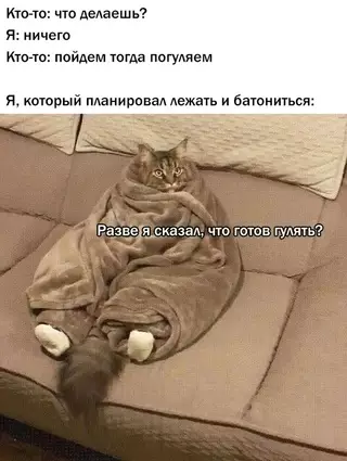 Смешная картинка №682441