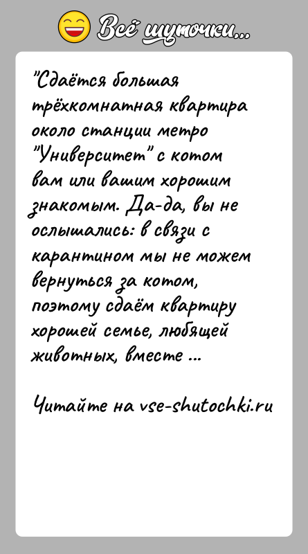 История: Сдаётся большая трёхкомнатная квартира около станции метро Университет с котом вам или вашим хорошим знакомым. Да-да, вы не ослышались: в