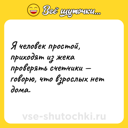 Шутка: Я человек простой, приходят из жека проверять счетчики — говорю, что взрослых нет дома.