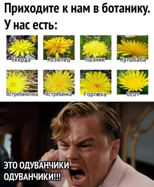 Смешная картинка №562232 Дичь