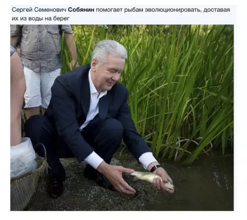 Смешная картинка №338729