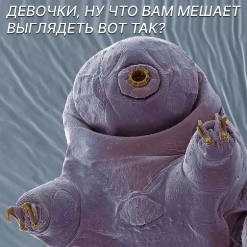 Смешная картинка №719612