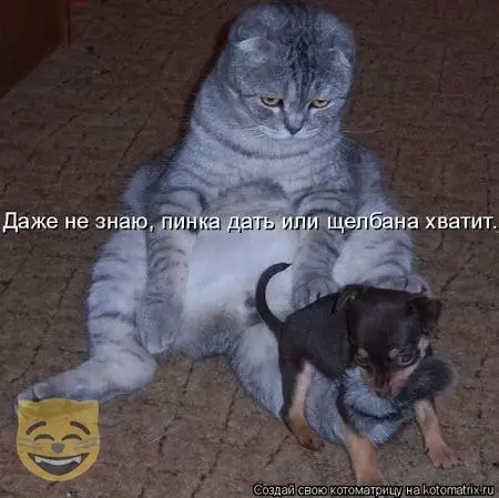 Смешная картинка №477541 #приколы #картинки #мемы ?