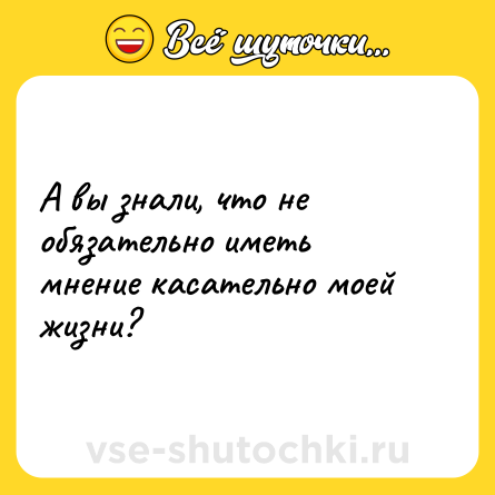 Шутка: А вы знали, что не обязательно иметь мнение касательно моей жизни?